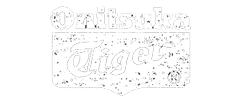 onitsuka tiger